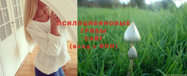 Альфа ПВП Белокуриха