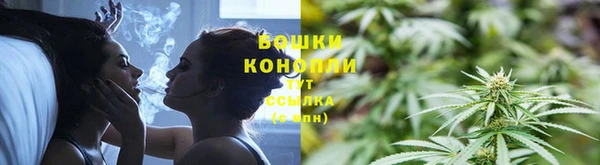 Альфа ПВП Белокуриха