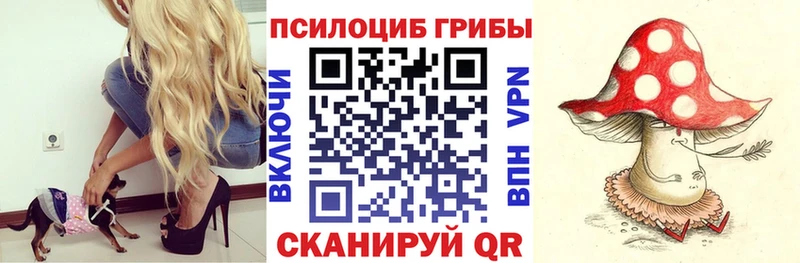 сколько стоит  Бутурлиновка  Галлюциногенные грибы MAGIC MUSHROOMS 